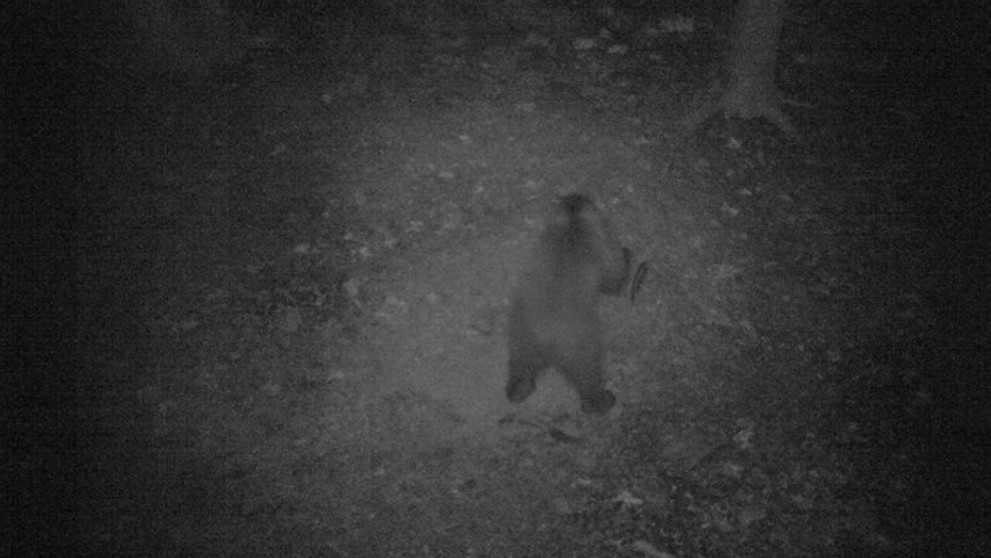 Tenista Alexander Zverev v 1. kole na Roland Garros.