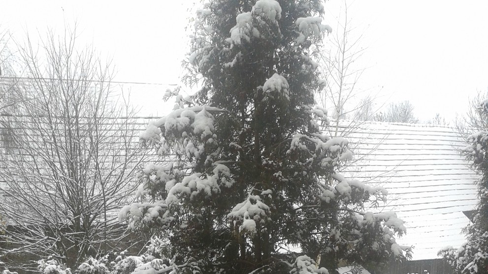 Zasnežený Babín na Orave