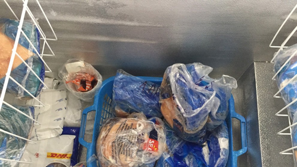 Mrazené vzorky mäsa dovezené z Brazílie.