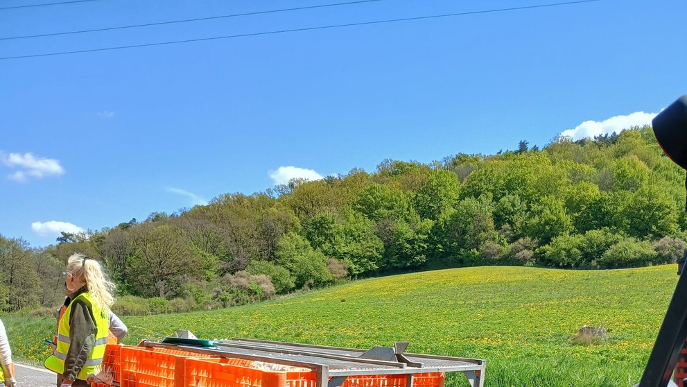 Prevrátený kamión plný hydiny.