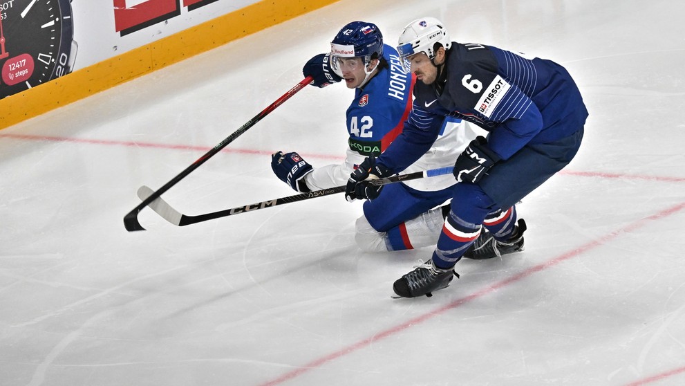 Slovensko - Francúzsko