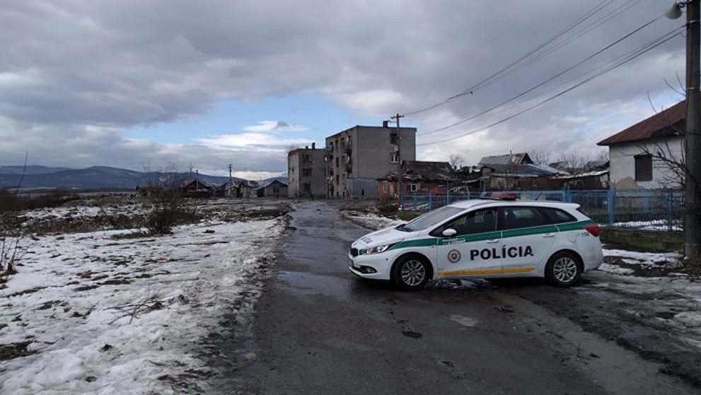 Muža zavalilo klbko hadov.