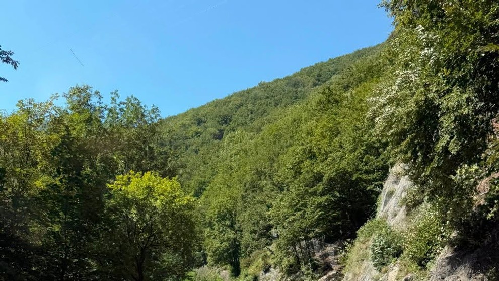 Červený asfalt