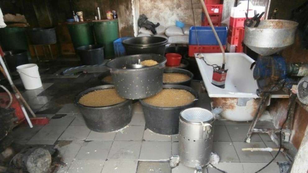 Výrobňa tofu v Česku