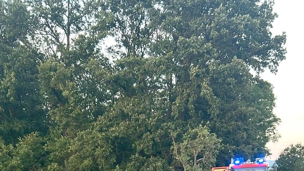 Tragická nehoda pri Topoľčanoch.