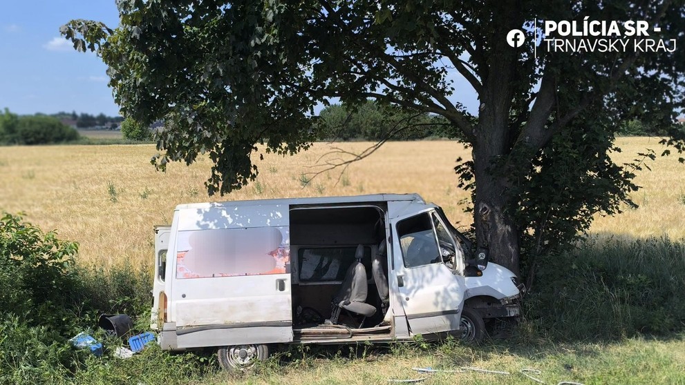 Po náraze dodávky do stromu sa zranilo šesť ľudí.