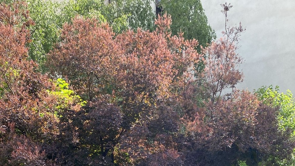 Na Technickej univerzite v Bratislave zasahujú policajti.