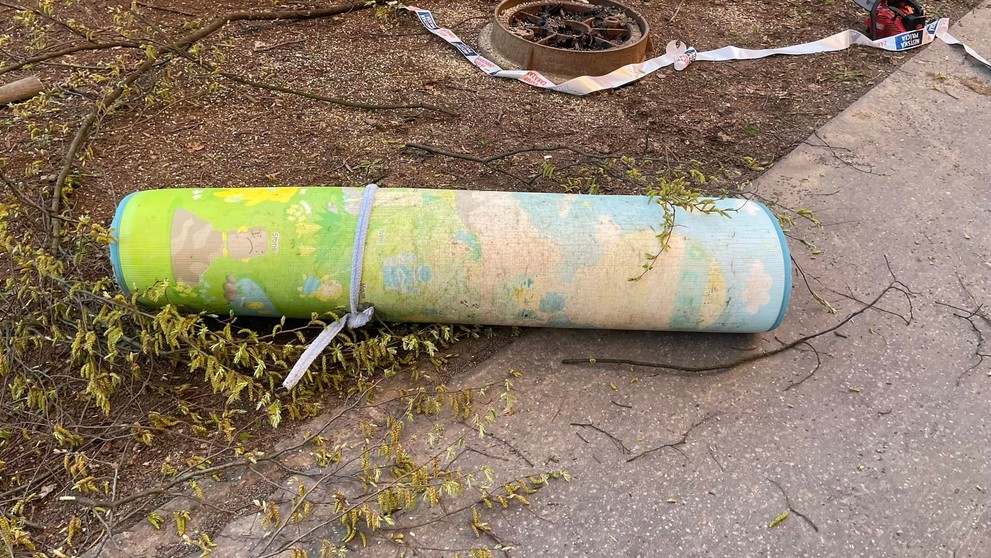 Hasiči v Prešove museli odstrániť koberec z koruny stromov.