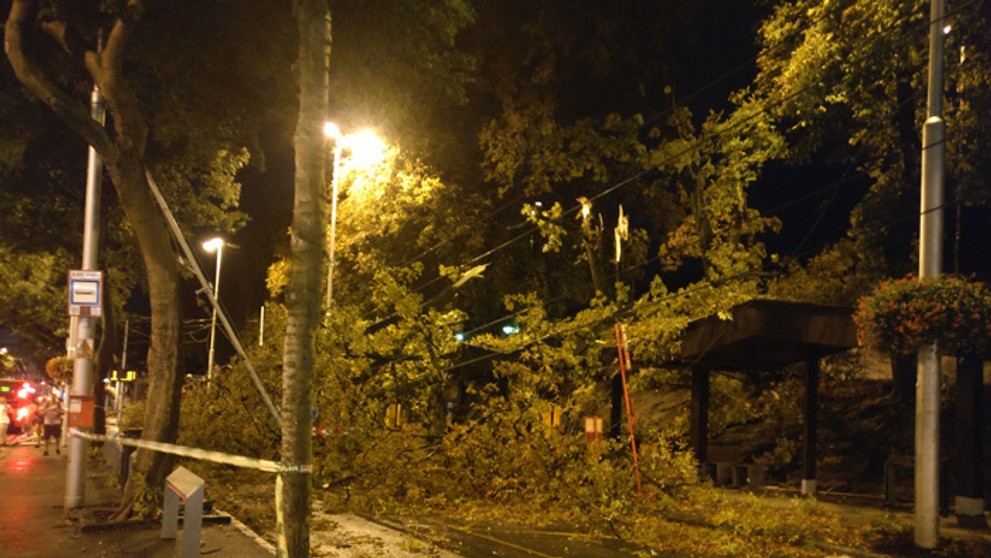 Popadané stromy pred bratislavskou Hlavnou stanicou.