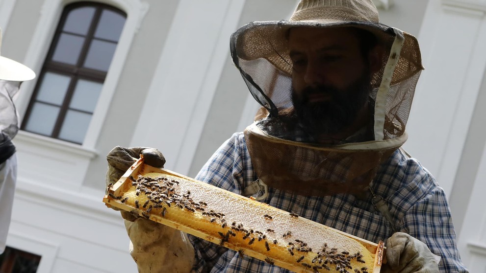 Štyri včelie rodiny v Prezidentskom paláci
