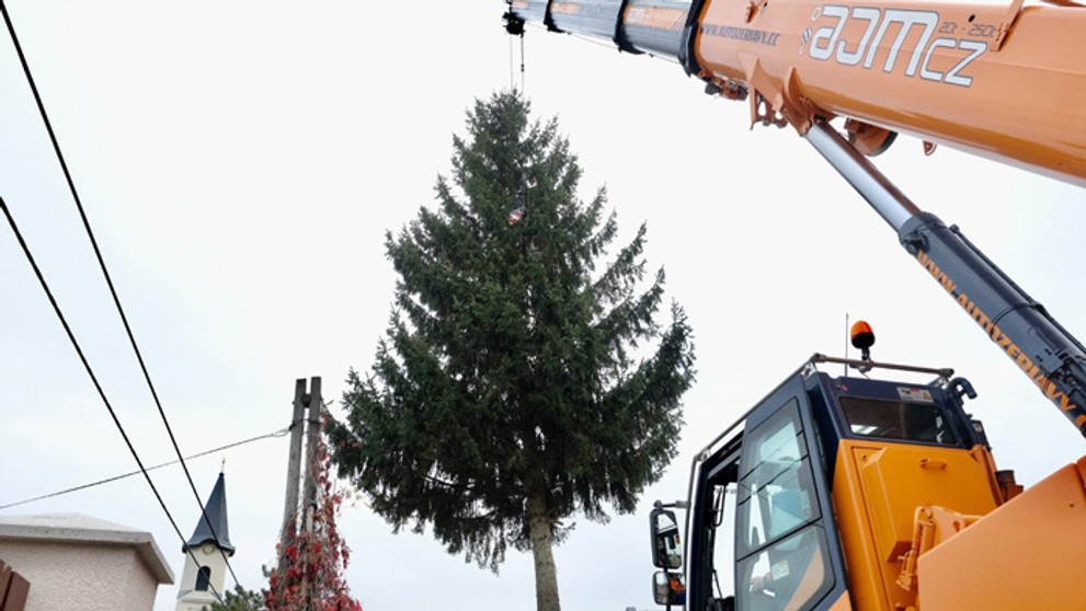Osádzanie vianočného stromčeka na Hlavnom námestí v Bratislave.