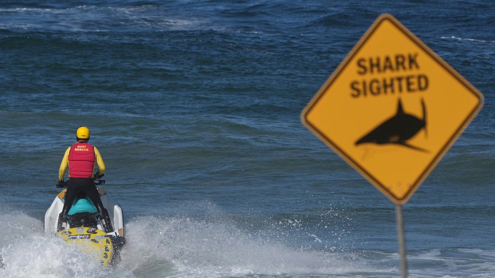 Veľký žralok zabil pri sydneyskej pláži muža