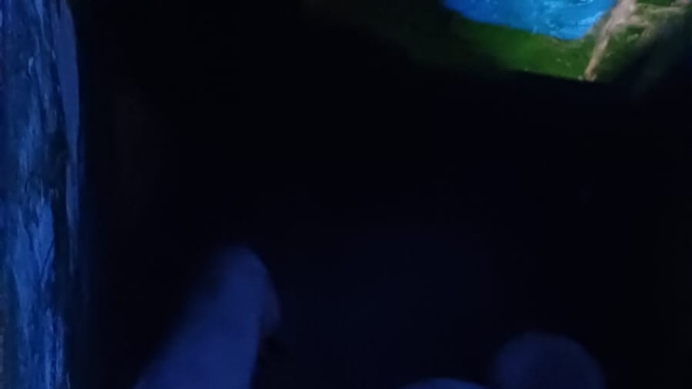 Hasiči vynášali z horiacej haly pri Pezinku stovky prasiatok.