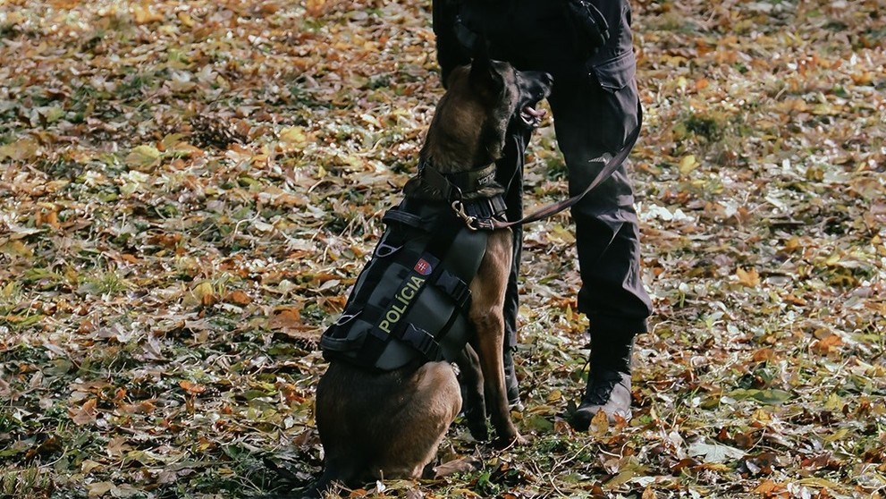 Tajomstvá o policajných psoch