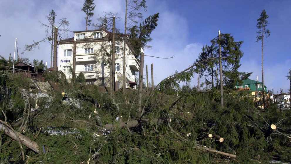 Polámané stromy v Starom Smokovci