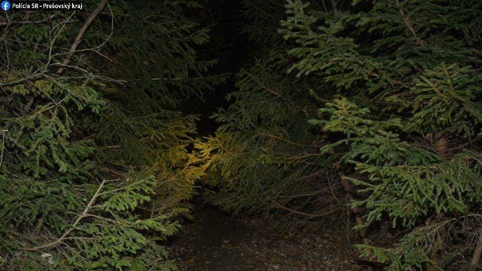 Ostnatný drôt, ktorý v lese zranil motorkára.