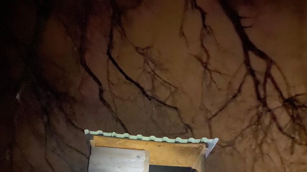 Pátranie po nezvestnej Márii (8. 1.)