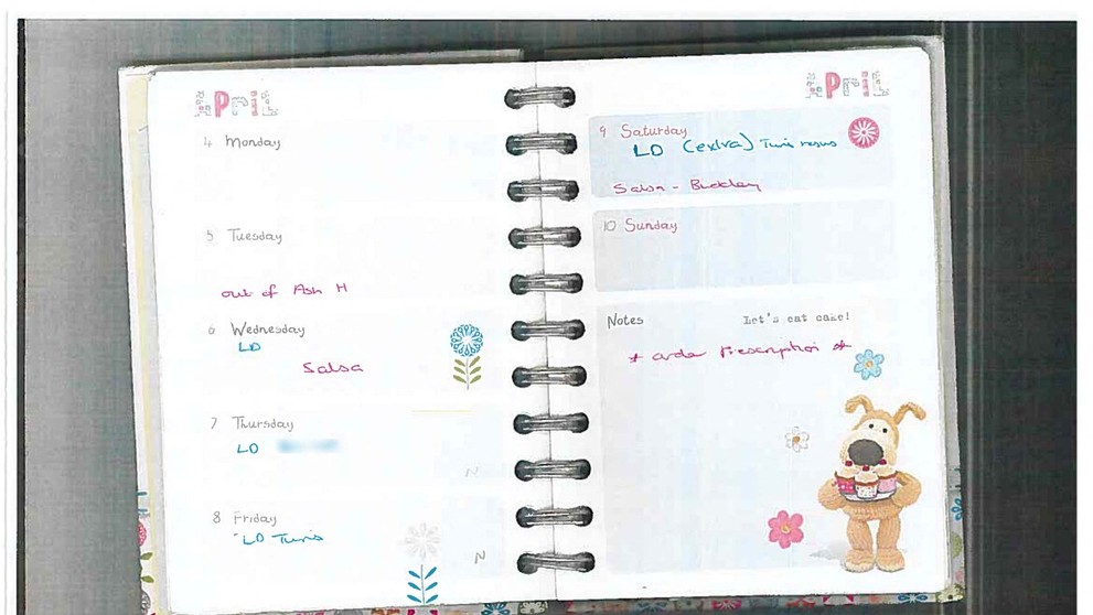 Denník zdravotnej sestry.