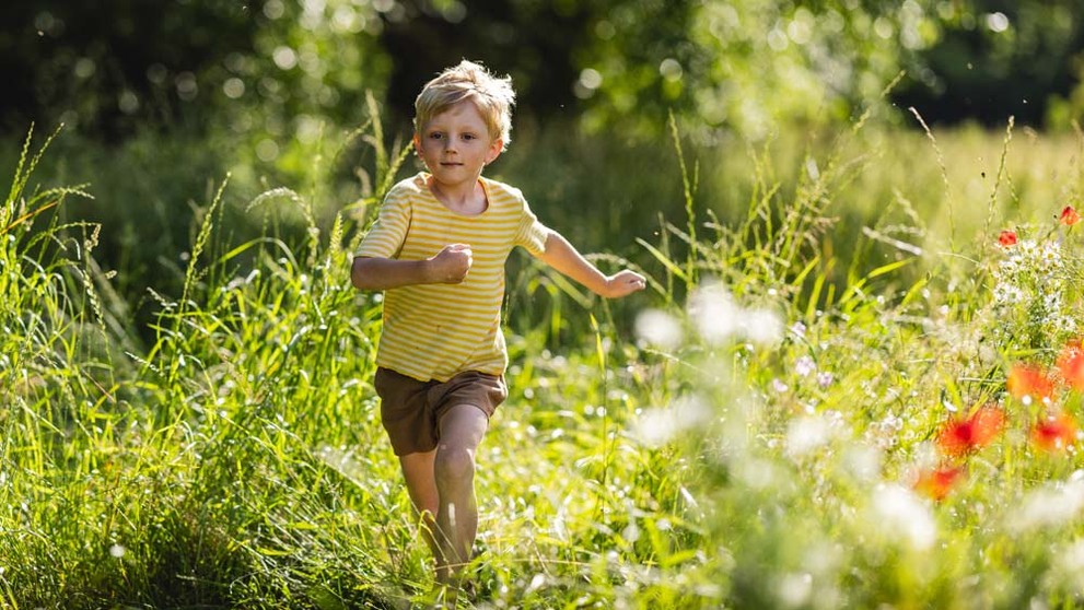 Voyo Originál Studňa