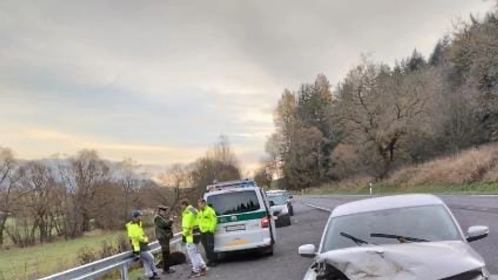 Neďaleko Hybe pod kolesami auta zahynul ďalší medveď