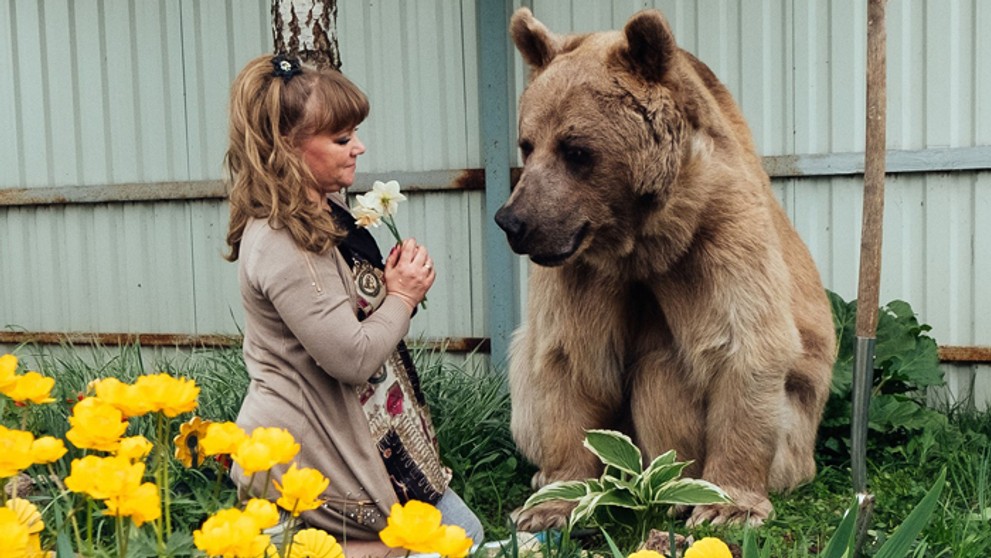 Medveďa sa ujali, keď mal štyri mesiace.