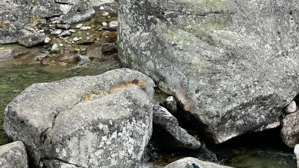 K dispozícii máme fotografie neohľaduplných turistov vo Vysokých Tatrách