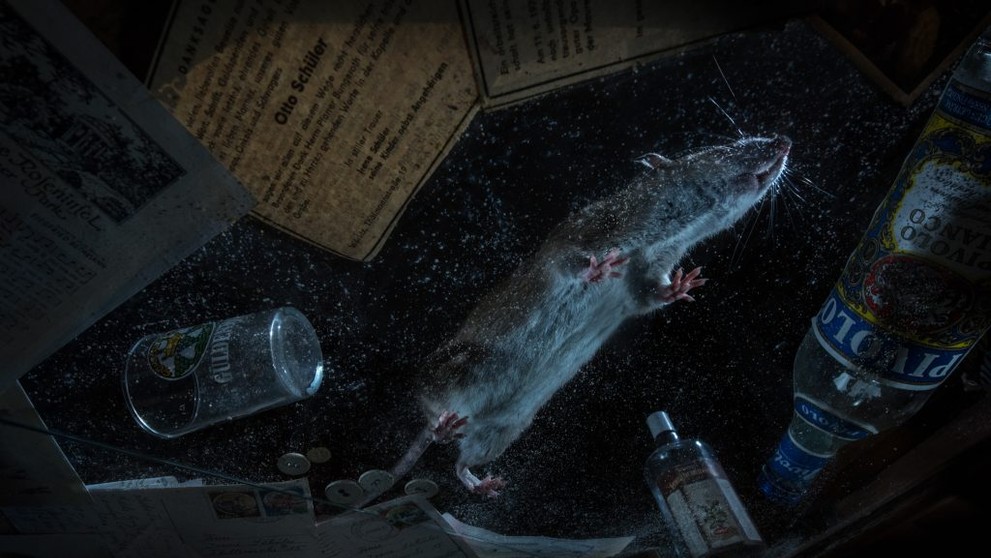 Víťaz kategórie Mestská divočina. 