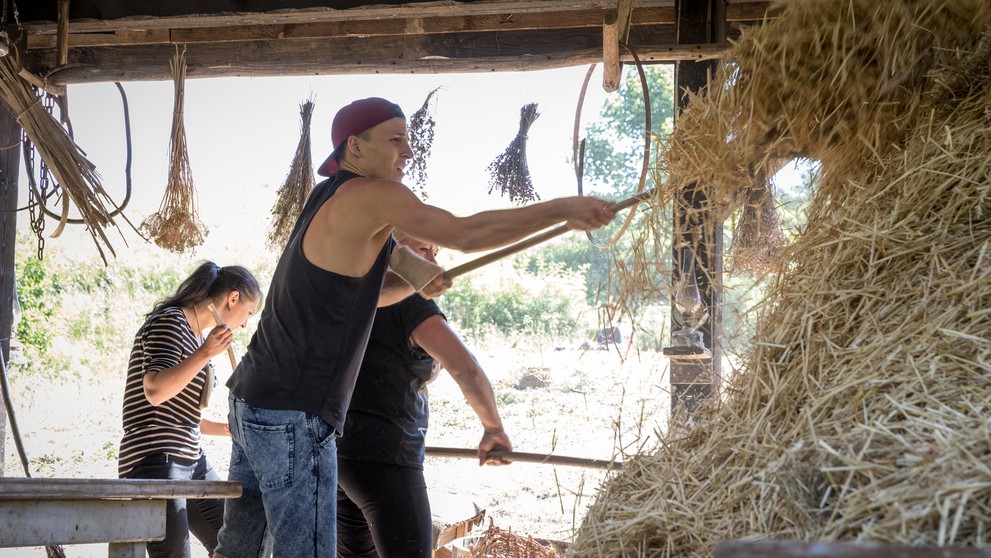 Dáša, Peter a Jana sa pustili do práce