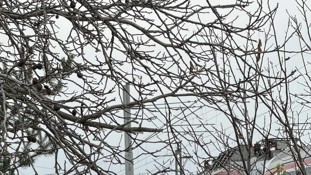 Takto to na mieste nehody vyzerá v pondelok (10. 11.)