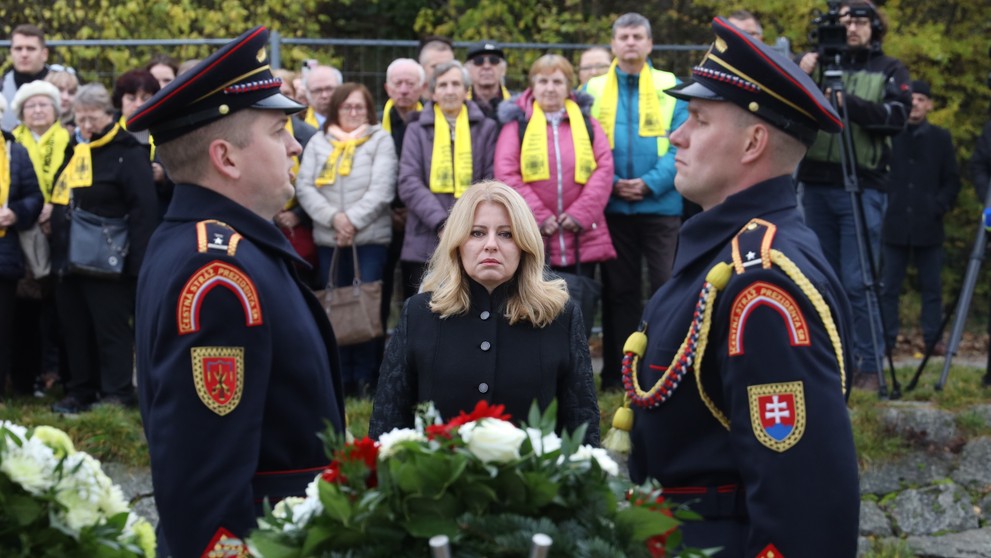 Deň boja za slobodu a demokraciu na Devíne.