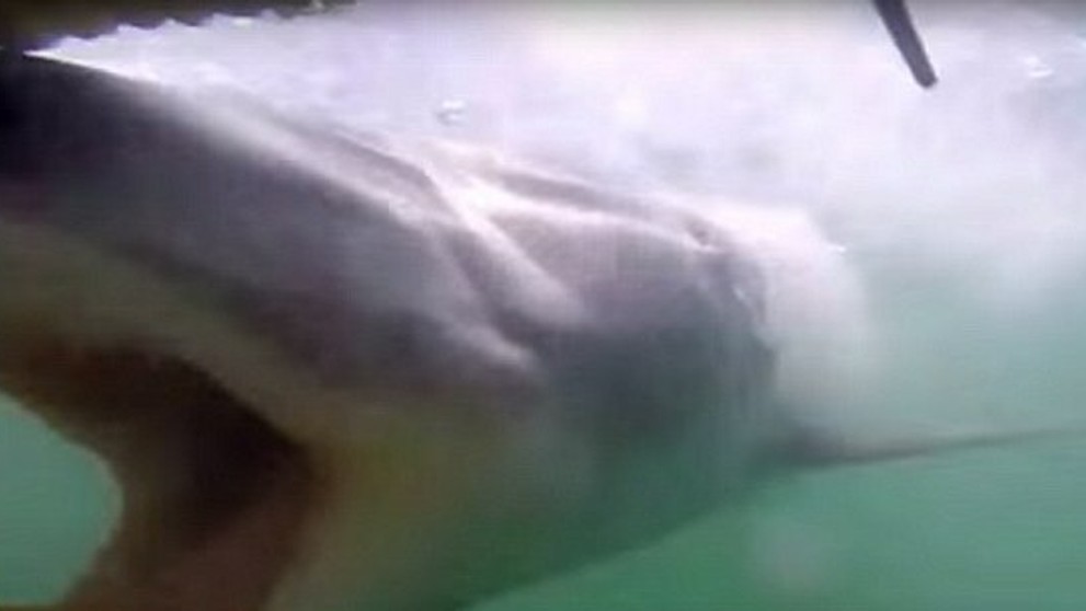 Zážitok, na ktorý tak ľahko nezabudnú. 