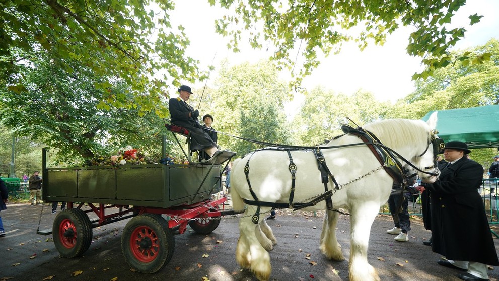 Kvety odvážajú kočmi