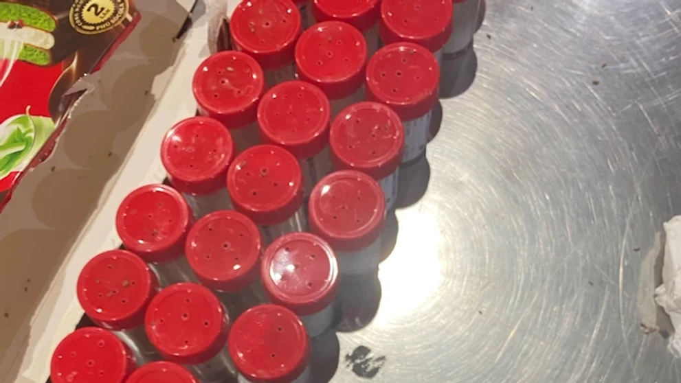 V obaloch od sušienok našli 1500 jedovatých pavúkov