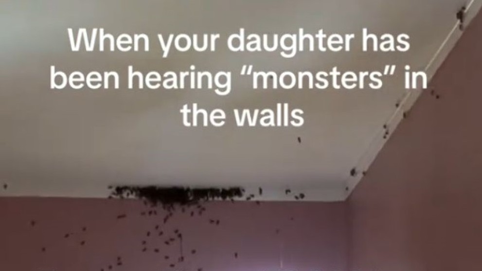 Včely sa usídlili v stene rodinného domu.