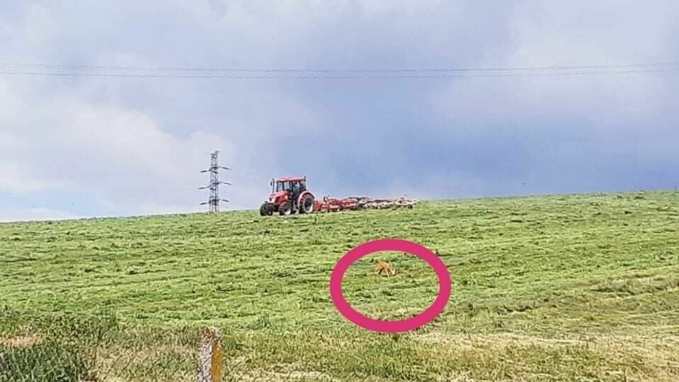 Protestujúci pred SES Tlmače.