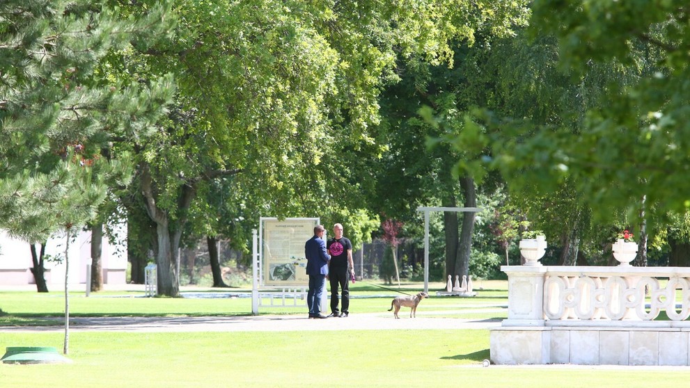 Otec nevesty a fenka Mini.