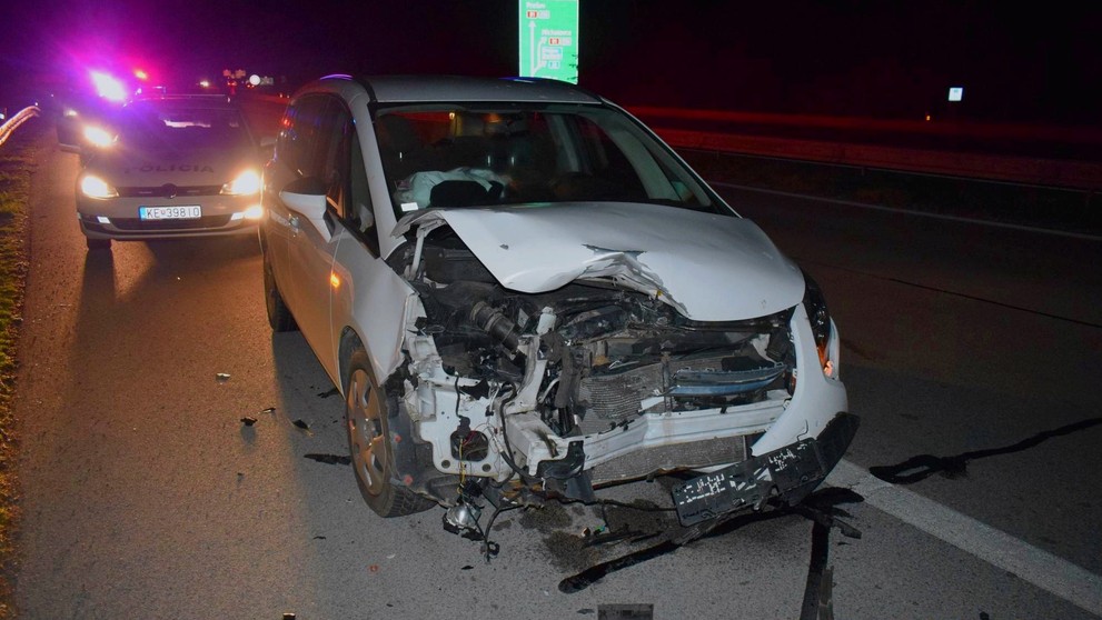 Pri Košiciach zrazilo auto medveďa.