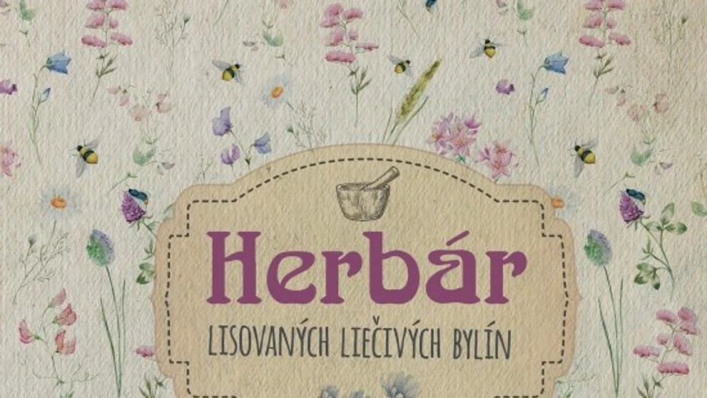 Obálka knihy.