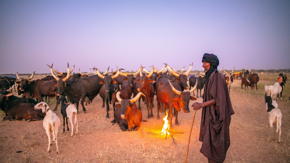 Listy Santovi Clausovi