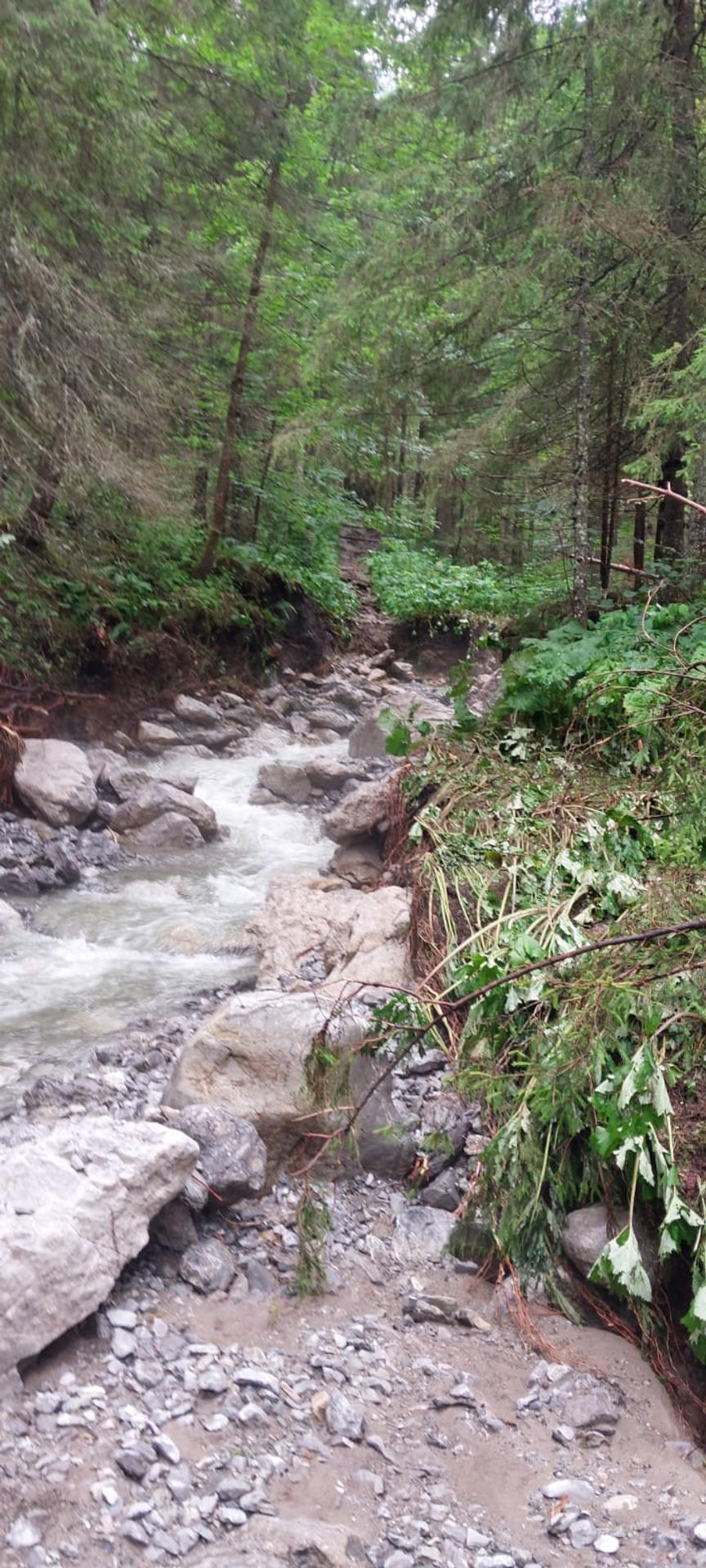 Deň po nešťastí v Monkovej doline.