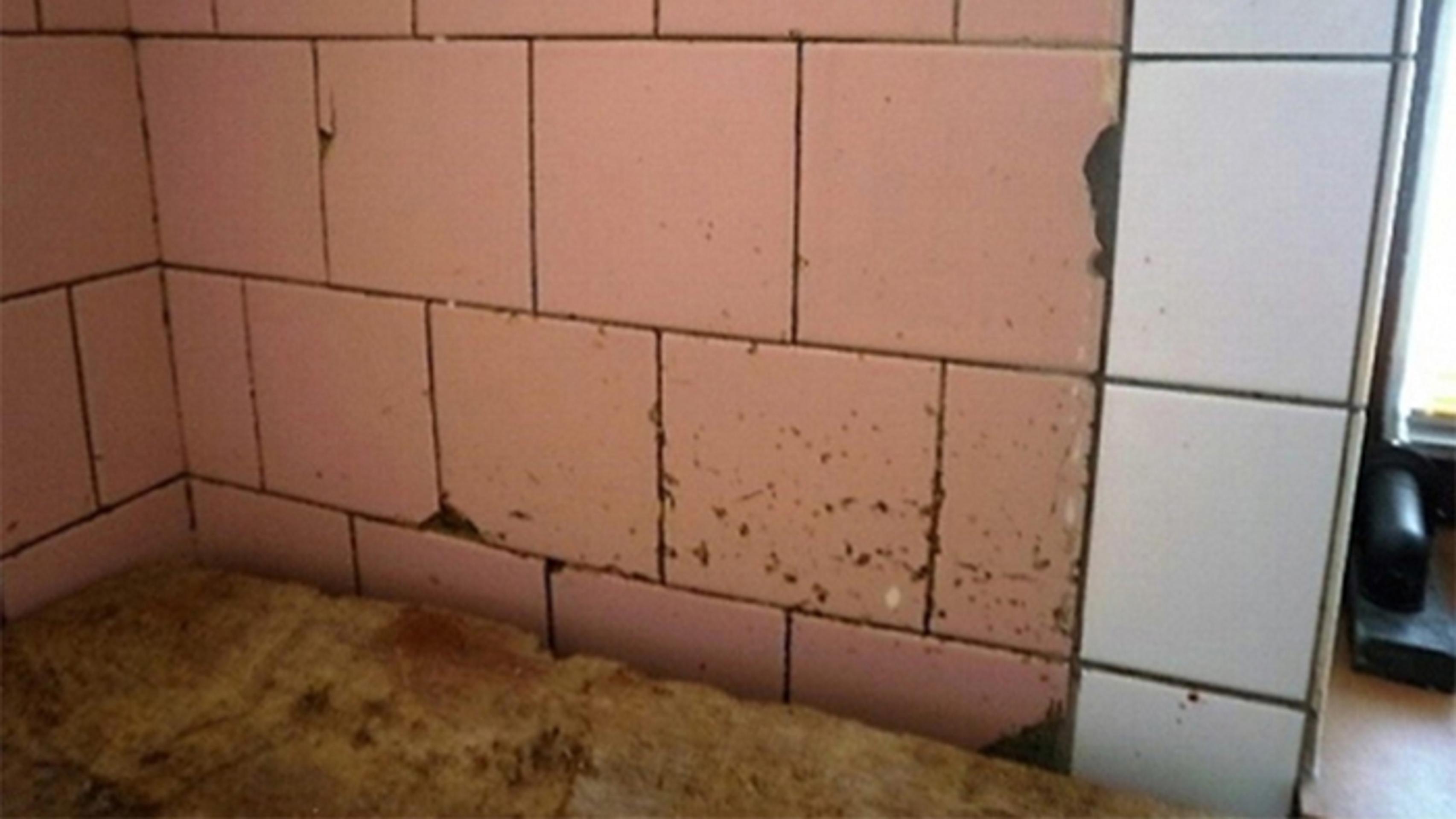 Plesnivé steny v obchodnej prevázdke.