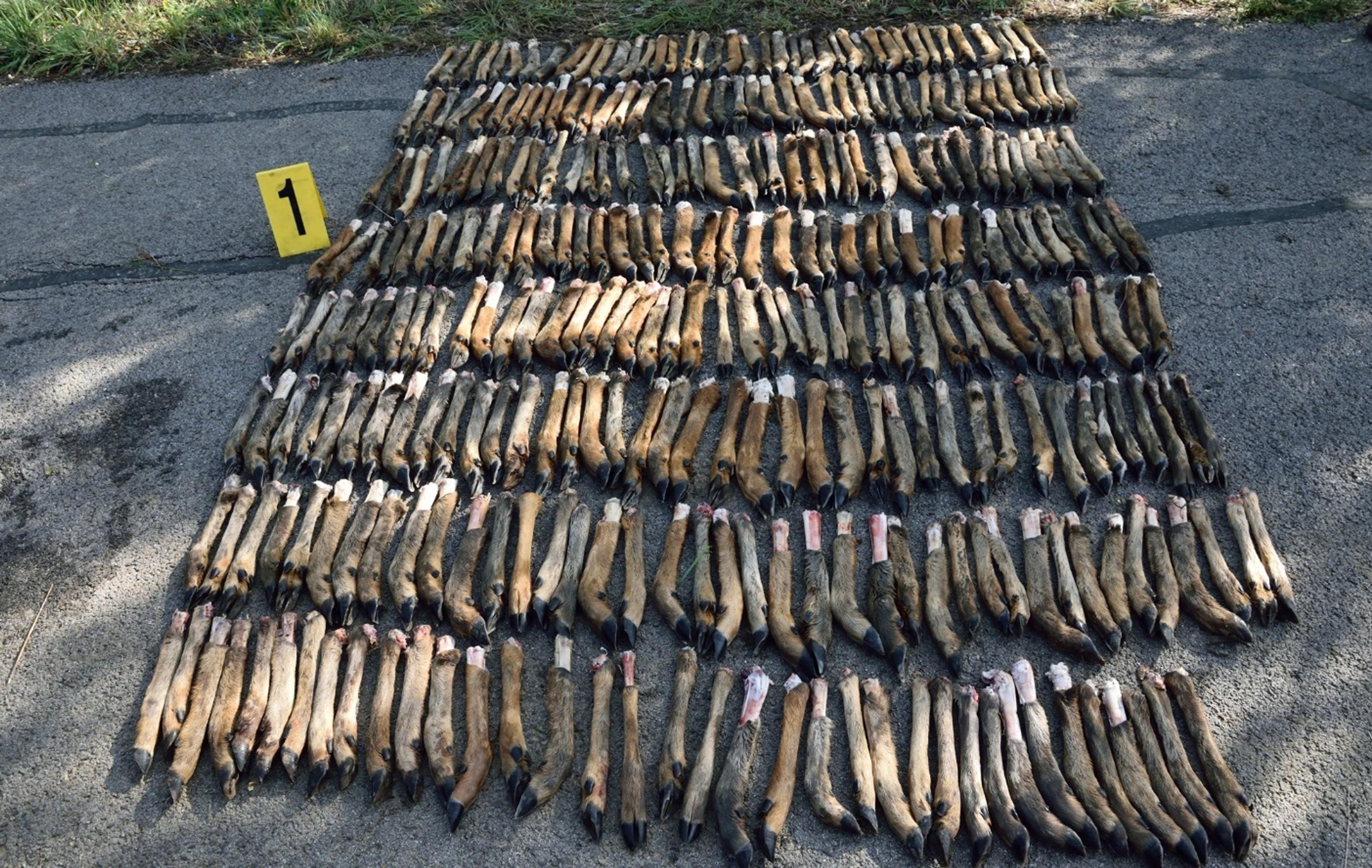 Ilustračná snímka - bábätko