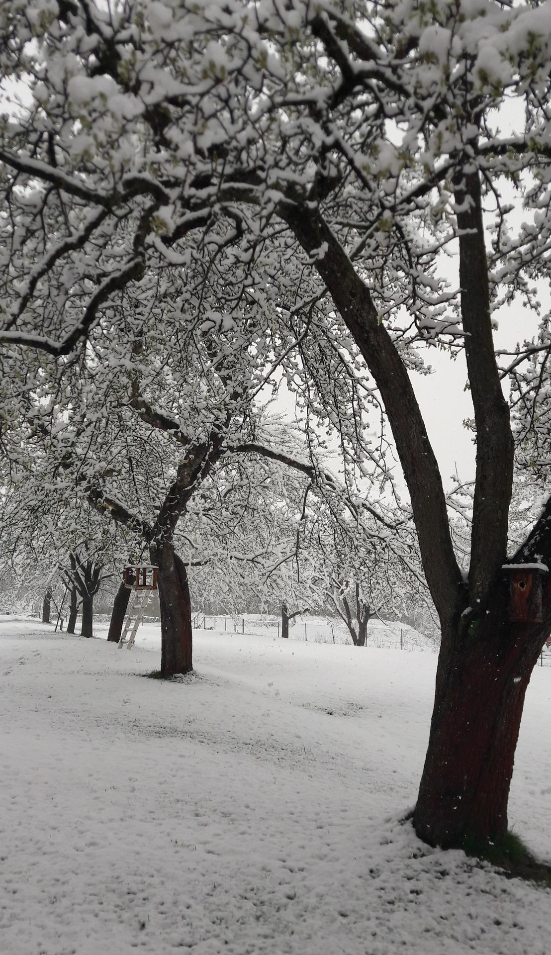 Sneh padal dnes ráno aj v Podhradí.