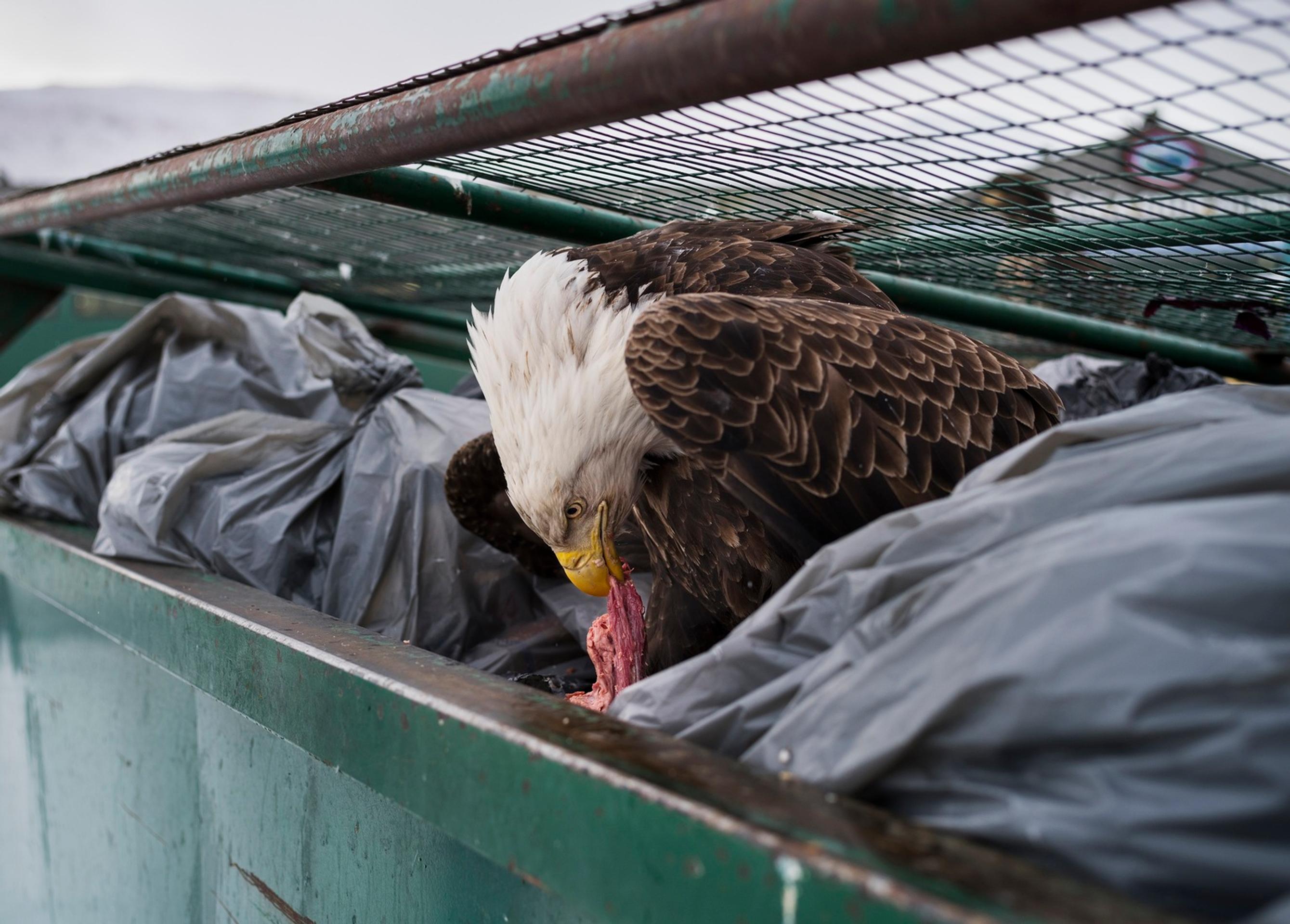 World Press Photo 2018