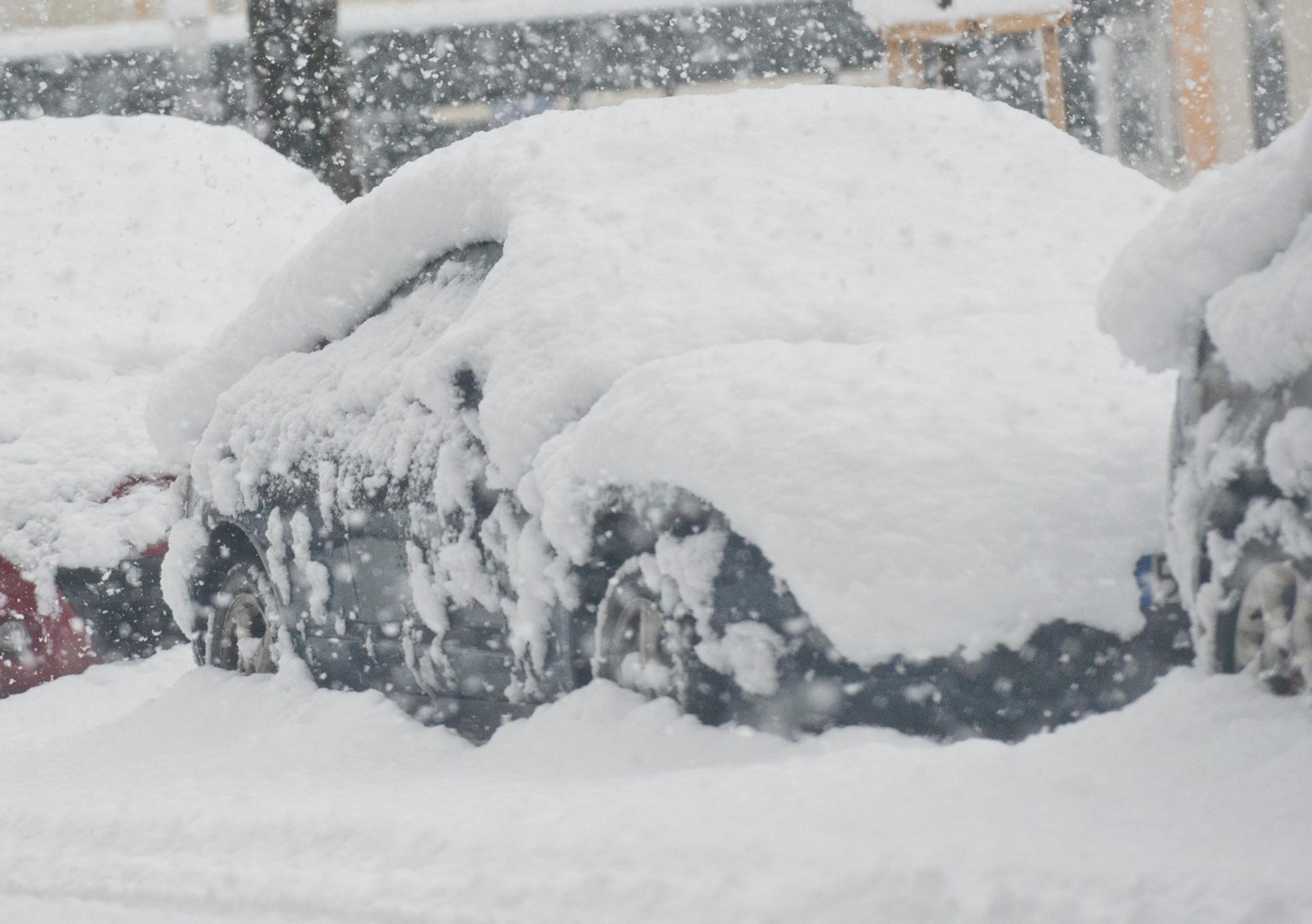 Snehová kalamita v Bratislave 30. januára 2015.jpg