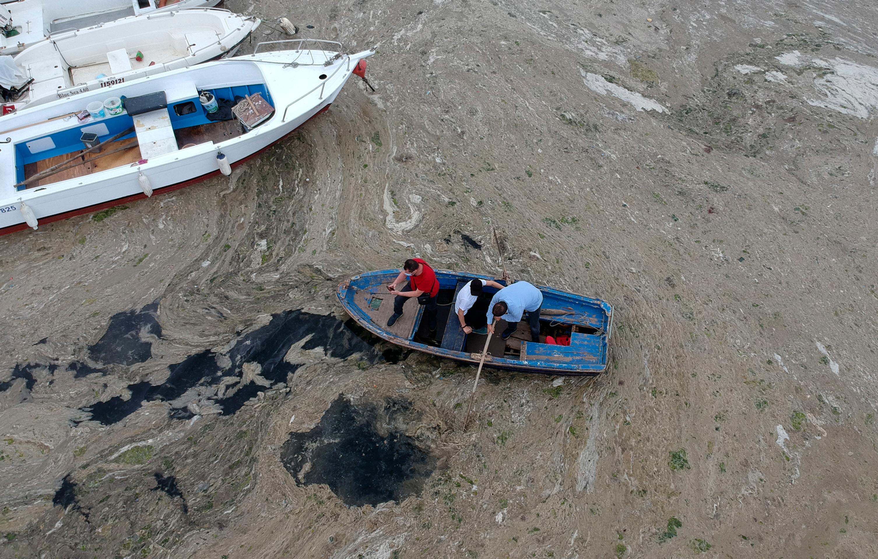 Sliz v Marmarskom mori.