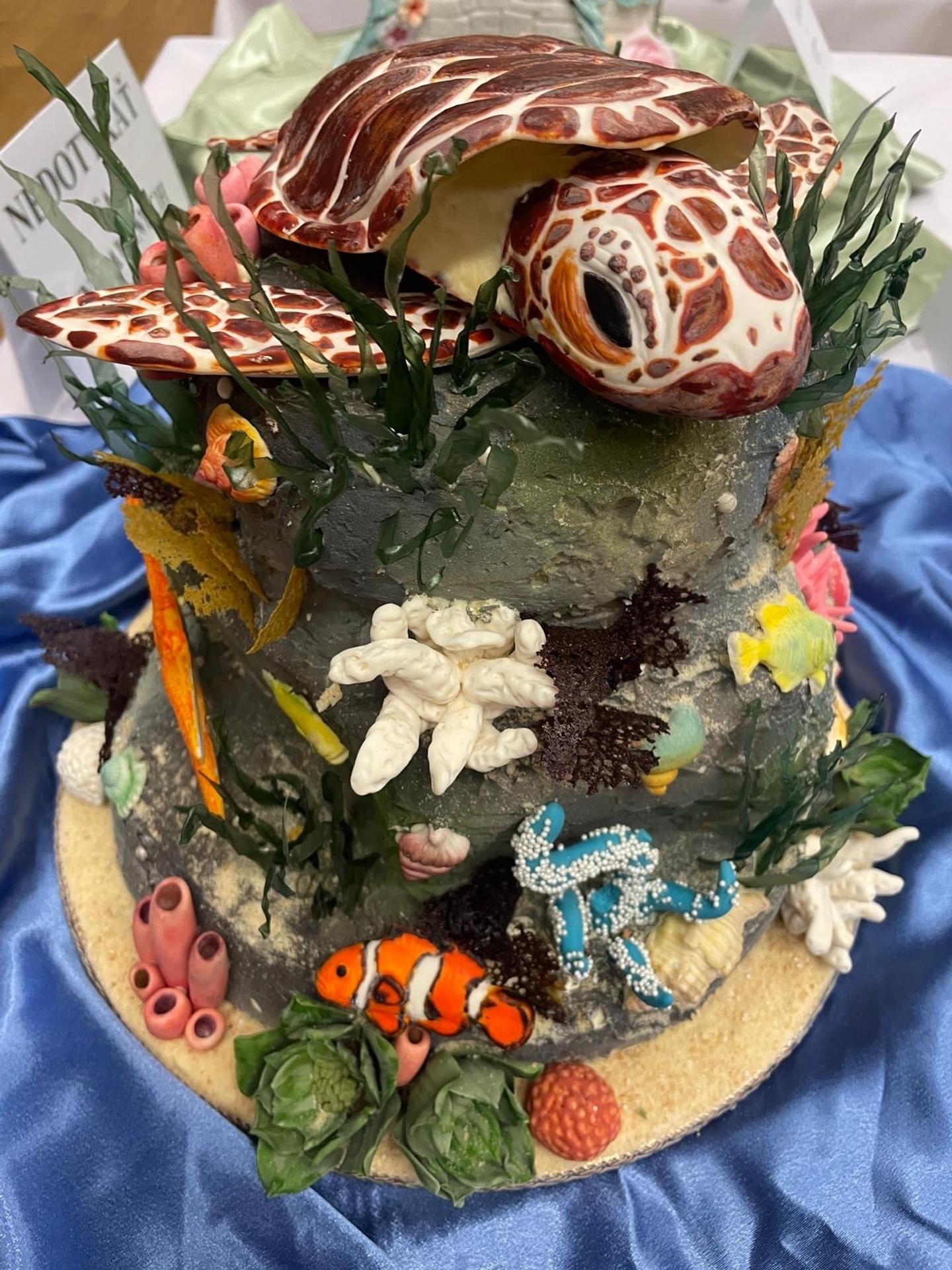 Súťaž o najkrajšiu tortu.