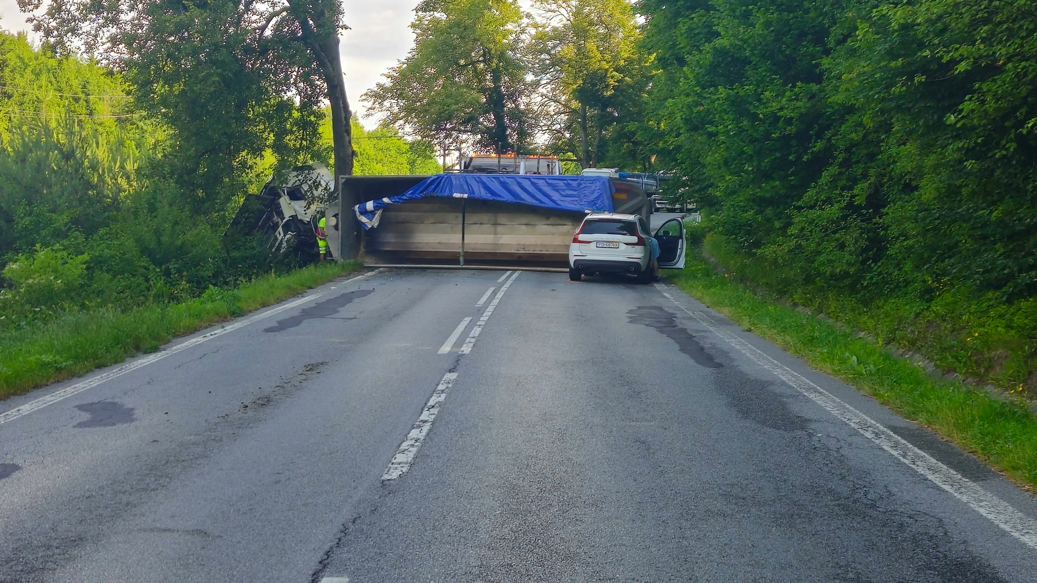 Kamionista zahynul po náraze do stromu.