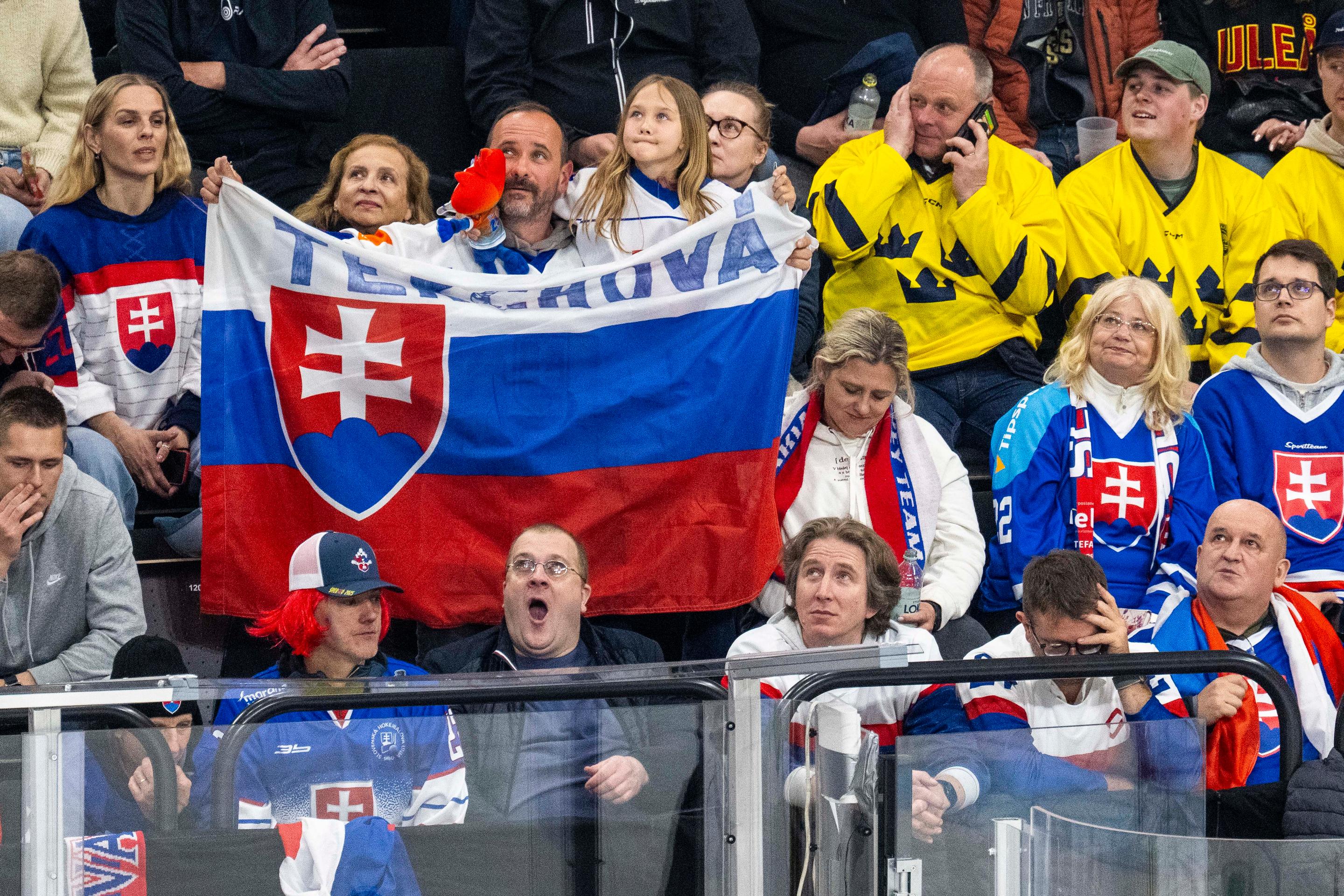 Slovenskí hokejoví fanúšikovia