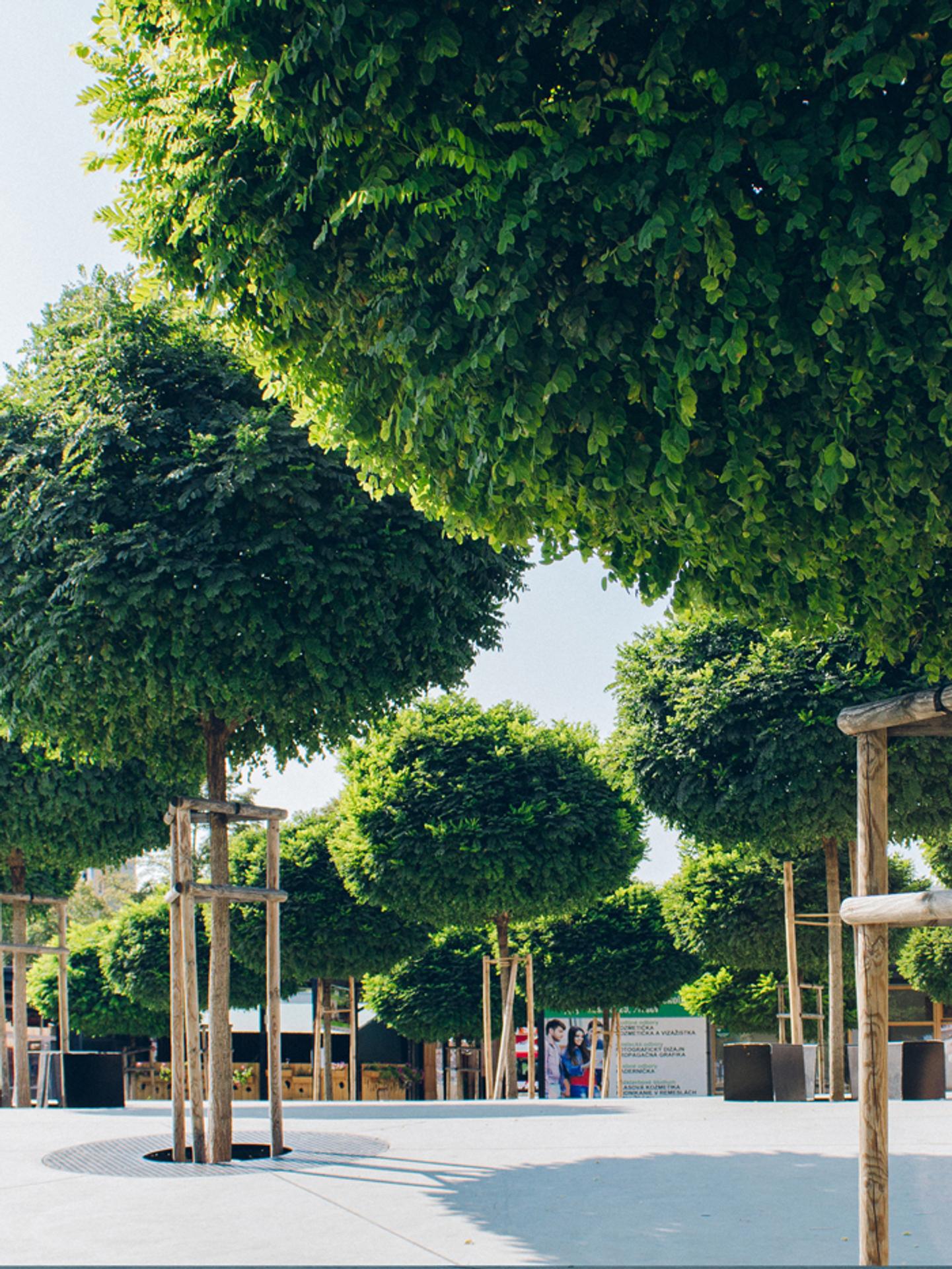 Víťazné dielo v kategórii Exteriér - Námestie Centrum, Sídlisko III